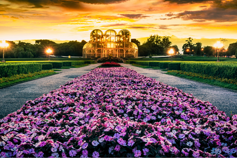 5 motivos para visitar o Jardim Botânico de Curitiba na primavera