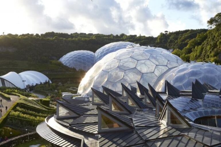 Arquitetura Biomimética traz inovação inspirada na natureza